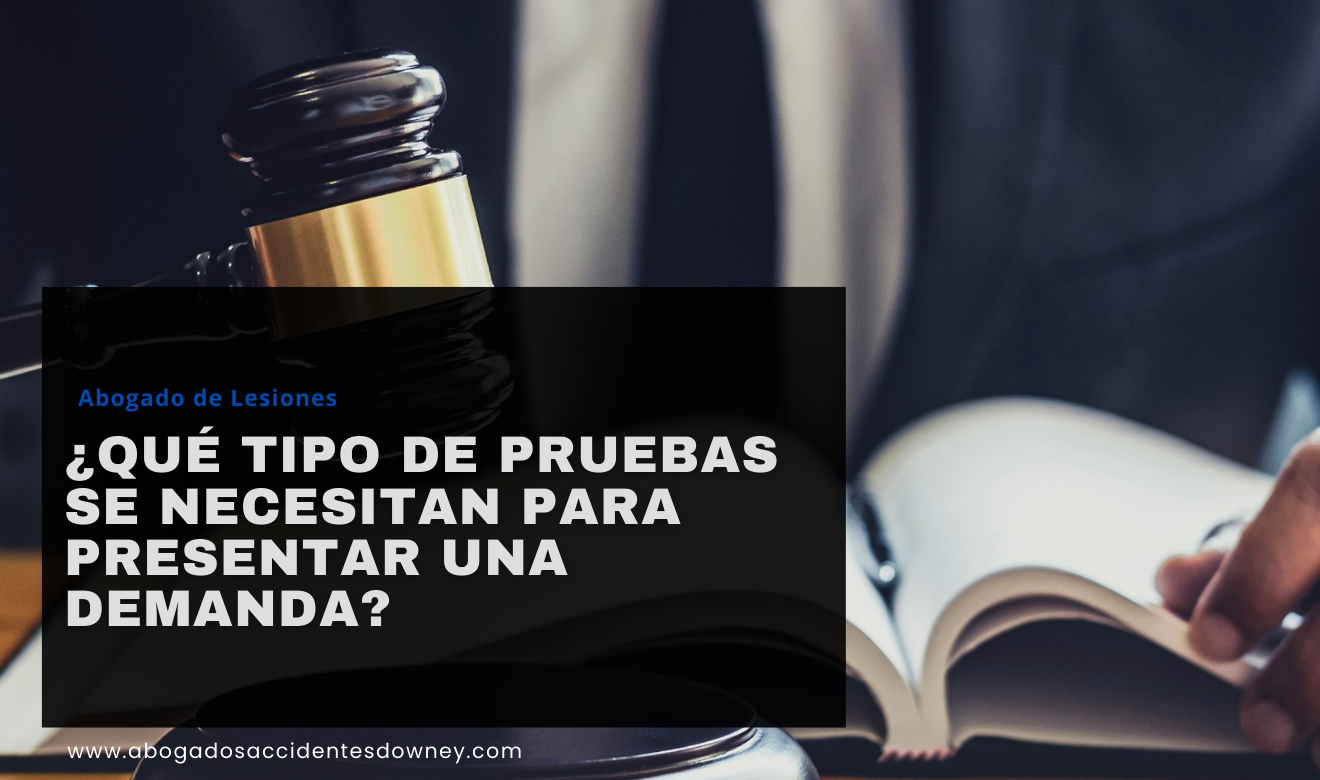 qué evidencia necesito para una demanda